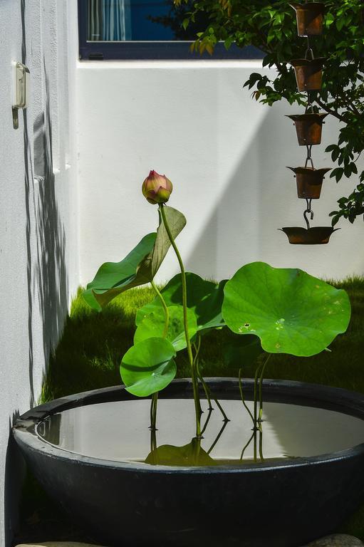 Begonia B&B Taitung Экстерьер фото